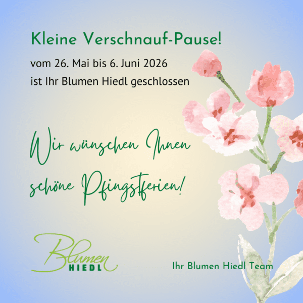 Hiedl Pfingsten