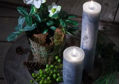 Advent Teller mit Christrose