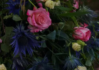 Blaue Disteln Rosa Rosen