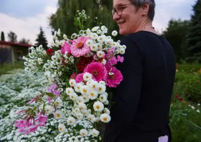 Blumen Frisch Geschnitten