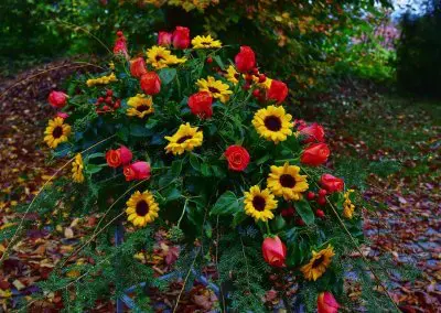 Bukett Mit Sonnenblumen Und Rosen