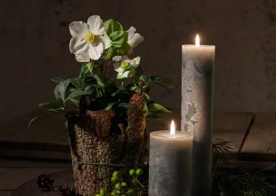Christrose Weiss mit Grauen Kerzen