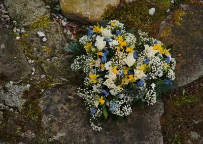 Ein Herzlicher Gruss Im Fruehling