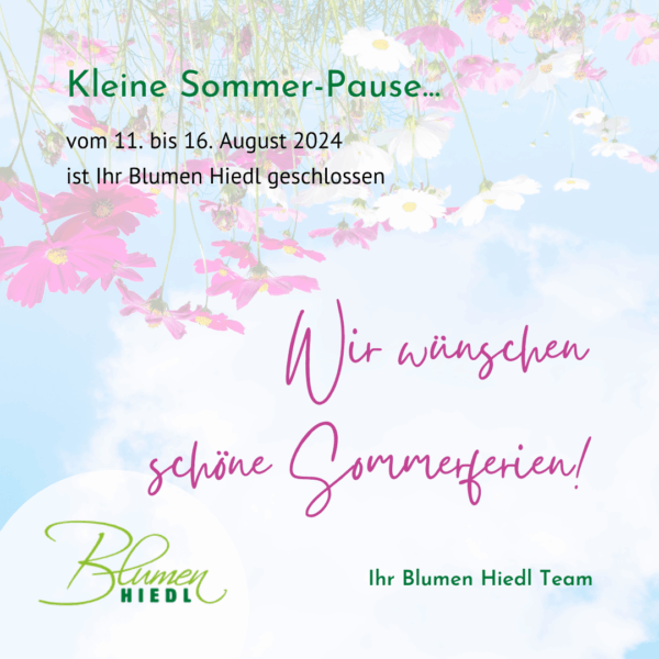 Hiedl 2025 Sommerferien