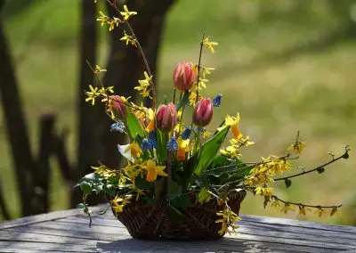 Osterkorb Mit Tulpen