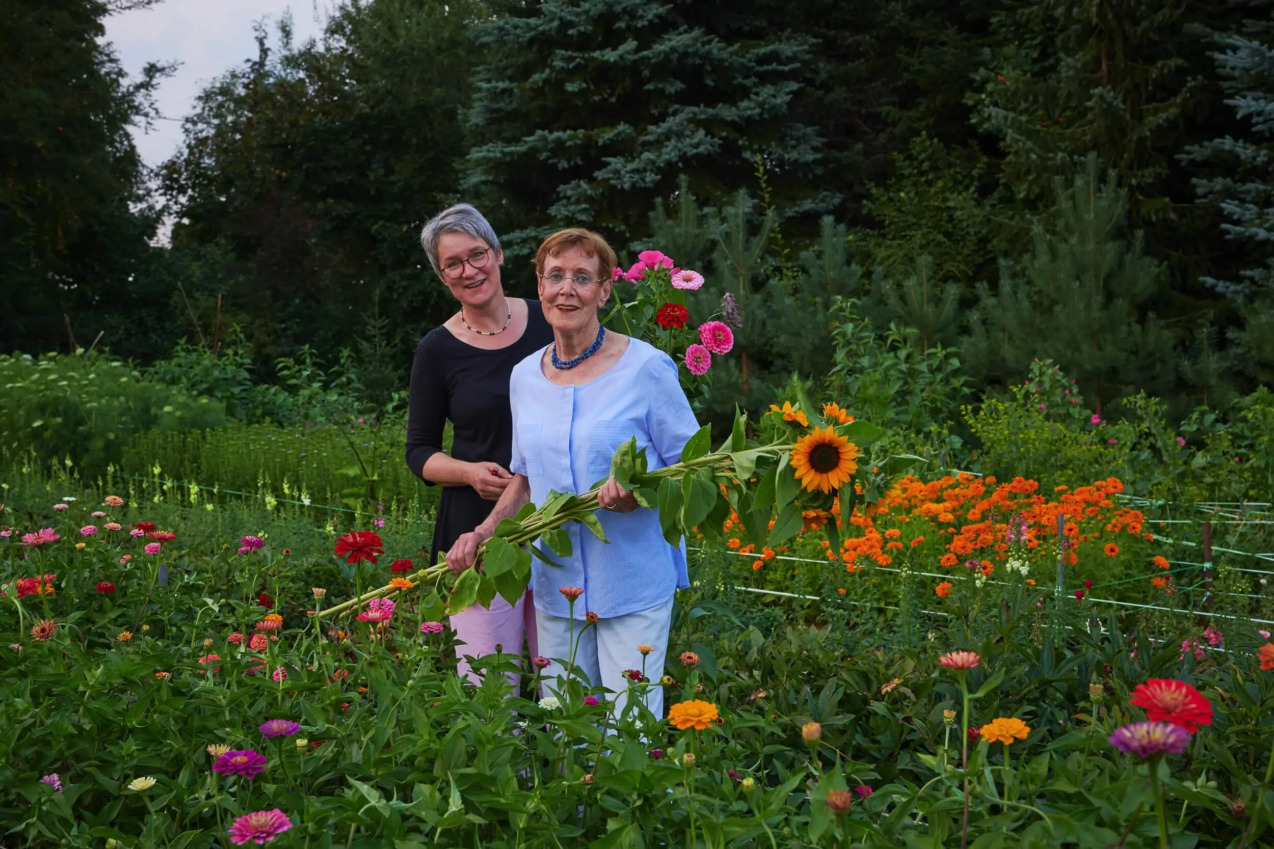 Schnittblumen Aus Eigener Zucht