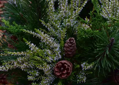Winterlich mit weißer Calluna und Zapfen